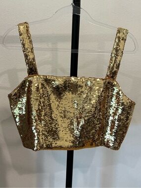 Mi Ami Francesca’s Gold Sequin Crop Tank Top XL